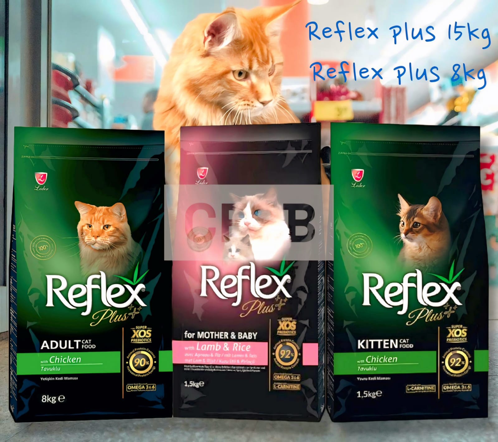 REFLEX PLUS ADULT 1.5KG CHICKEN FLAVER