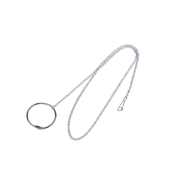 🦜 Safe Outdoor Adventures: Stainless Steel Bird Training Leash!